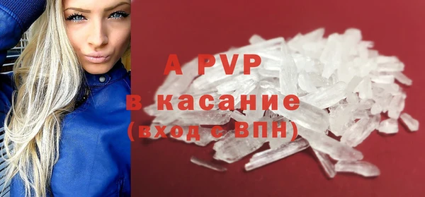 гашик Коряжма