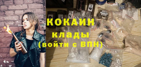 гашик Коряжма