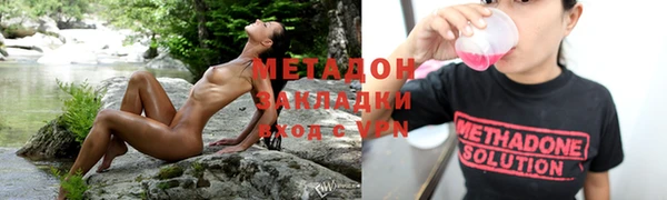 индика Краснослободск