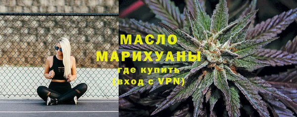 индика Краснослободск