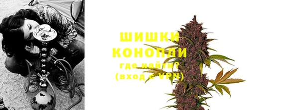 гашик Коряжма