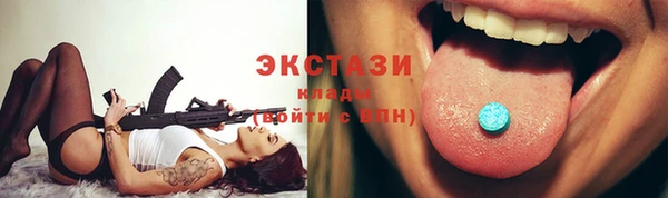 индика Краснослободск