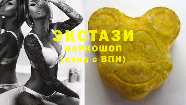 гашик Коряжма