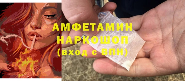 гашик Коряжма